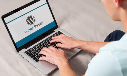 WordPress Solutions